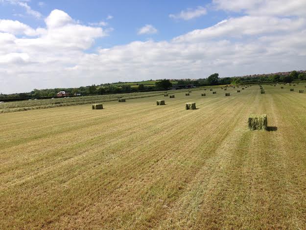 Looking To Buy Hay In Wiltshire?